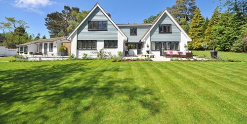 Trawnik idealny - kompleksowy poradnik